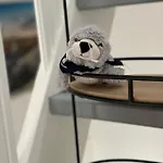 Gulfhaus Alte Meesterei Διαμέρισμα Manslagt