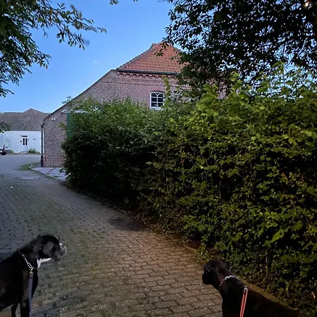 Gulfhaus Alte Meesterei * Manslagt