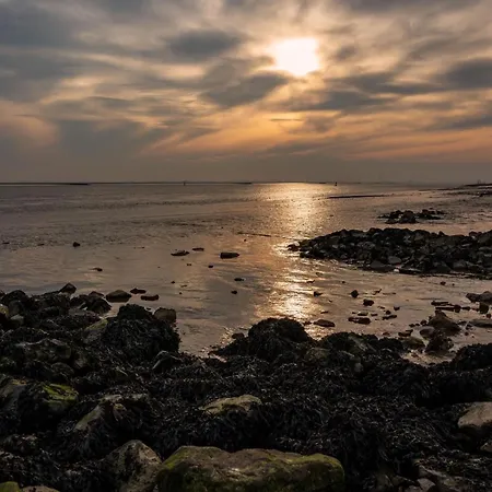 Gulfhaus Alte Meesterei * Manslagt