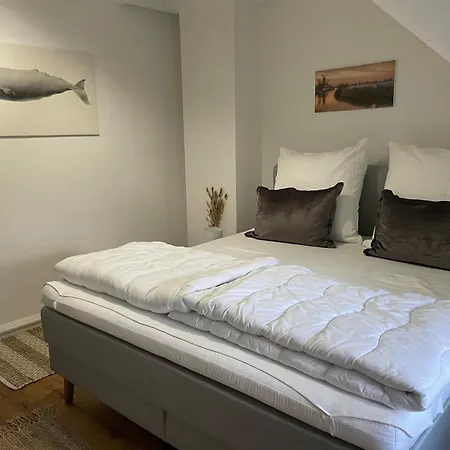 Gulfhaus Alte Meesterei شقة Manslagt