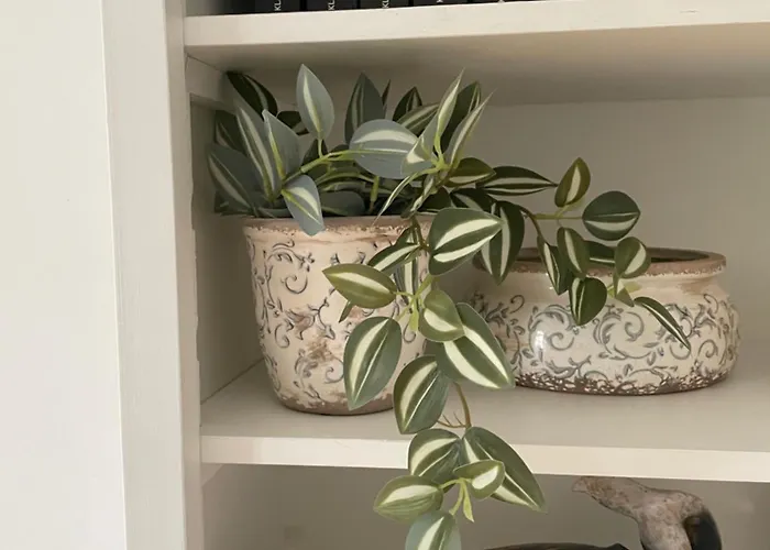 Lejlighed Gulfhaus Alte Meesterei